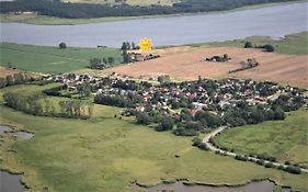 Boddenperle